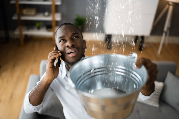 Best Mold removal after water damage  in Puyallup, WA