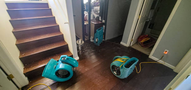  Puyallup, WA Water damage restoration Pros