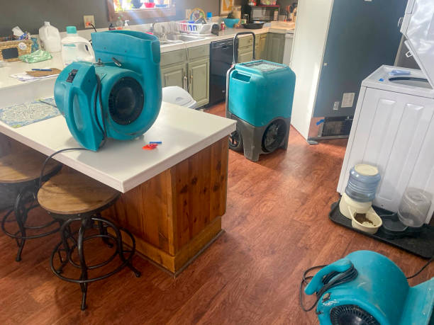 Best Basement water damage restoration  in Puyallup, WA