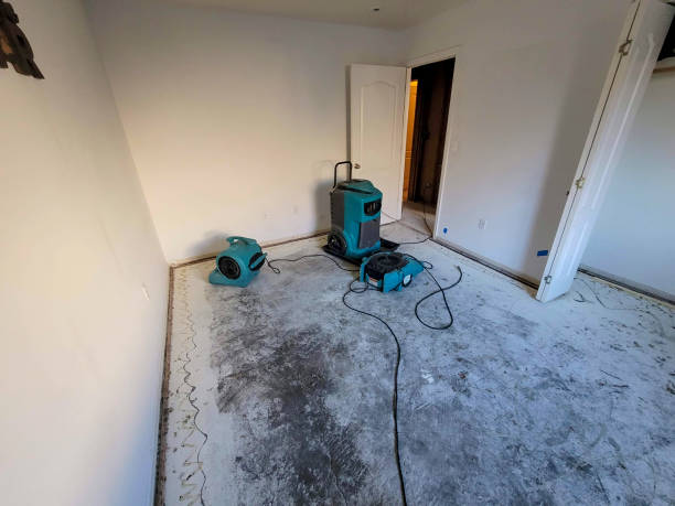 Best Mold removal after water damage  in Puyallup, WA