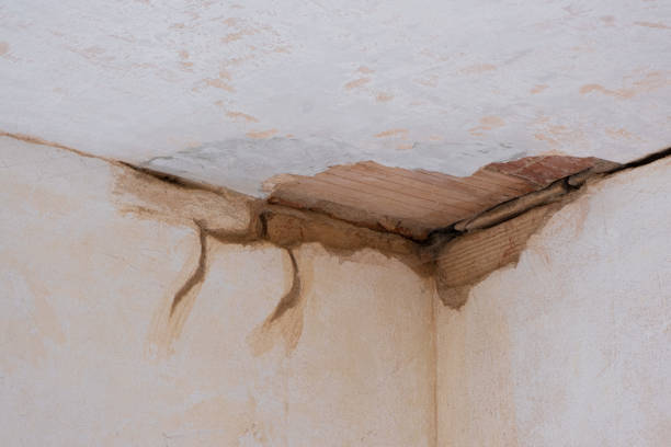 Best Carpet water damage restoration  in Puyallup, WA