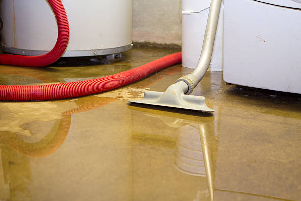 Best Water damage restoration near me  in Puyallup, WA