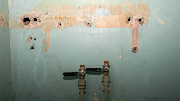 Best Water damage restoration process  in Puyallup, WA