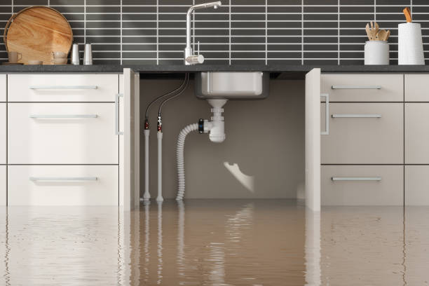Best Flooded house restoration  in Puyallup, WA