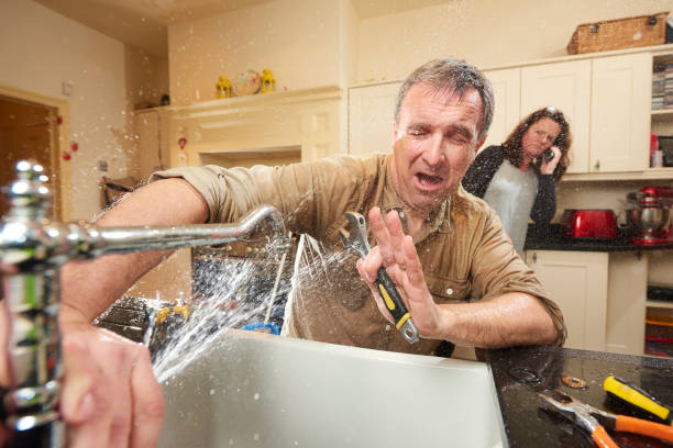 Best Local water damage restoration  in Puyallup, WA
